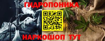 тгк Обь
