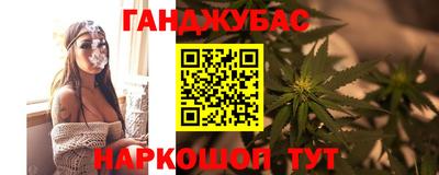 тгк Обь