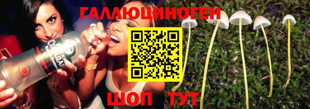 Галлюциногенные грибы прущие грибы  Пятигорск 