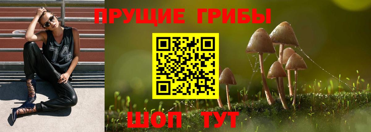 Пятигорск  Псилоцибиновые грибы мицелий  Вход с VPN 